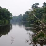 16e édition du Festival cinémas d’Afrique en Suisse le 17 et 21 août 2022