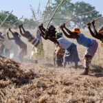 Omar Pène : De la voix du peuple à l’hommage aux « Jambars »
