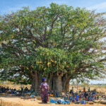 Showbiz sénégalais : Derrière les projecteurs, les dangers d’une célébrité mal maîtrisée